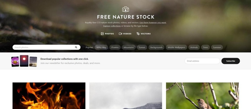 vídeos natureza gratuitos free nature stock