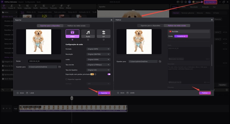 video cachorro dançando