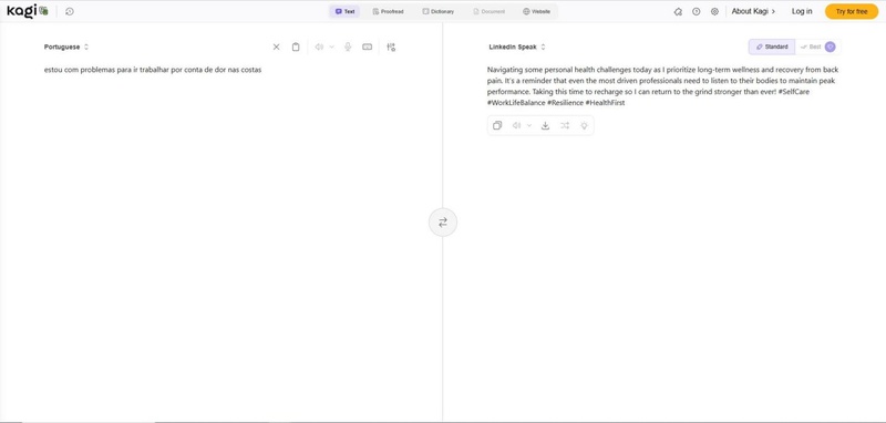 painel do kagi translate