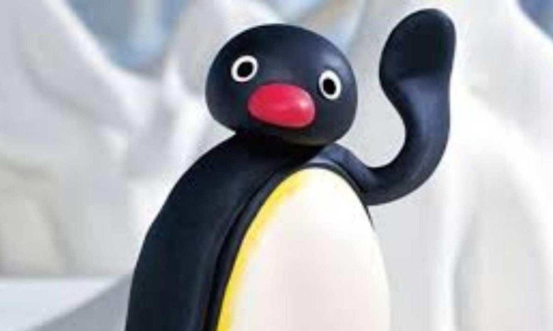 Pingu TV Cultura