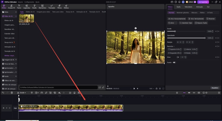 como fazer um vídeo com o prompt 6