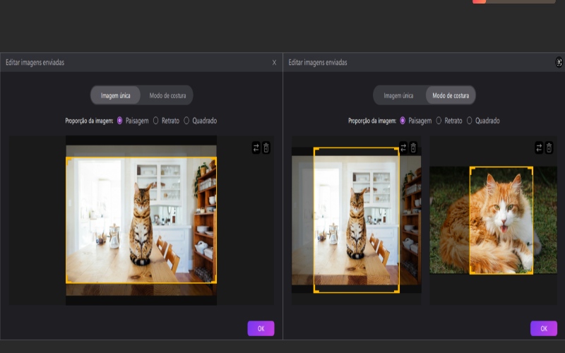 imagem edimakor para vídeo - imagem stitch